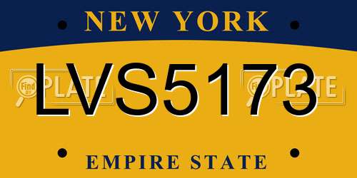 LVS5173 New York License Plate