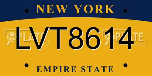 LVT8614 New York License Plate
