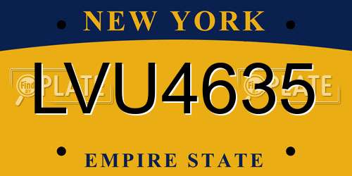 LVU4635 New York License Plate
