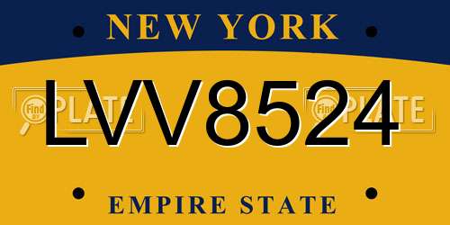 LVV8524 New York License Plate