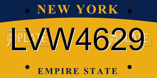 LVW4629 New York License Plate