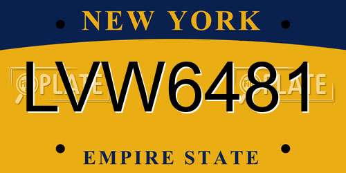 LVW6481 New York License Plate