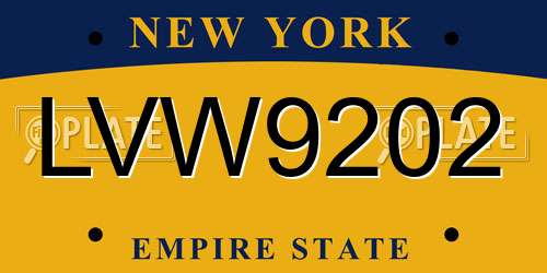 LVW9202 New York License Plate