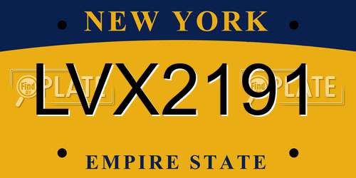 LVX2191 New York License Plate