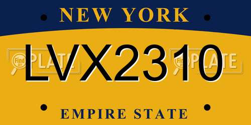 LVX2310 New York License Plate