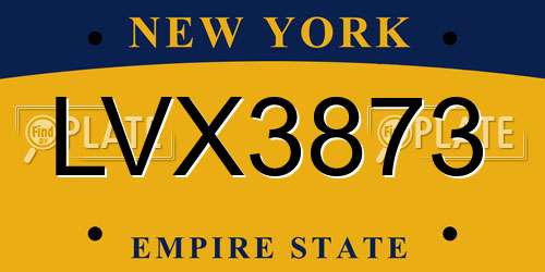 LVX3873 New York License Plate