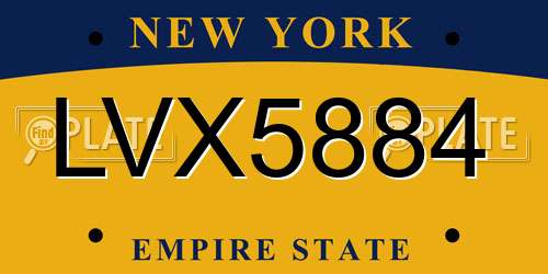 LVX5884 New York License Plate