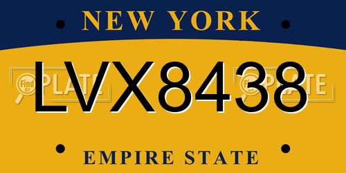 LVX8438 New York License Plate