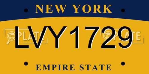 LVY1729 New York License Plate