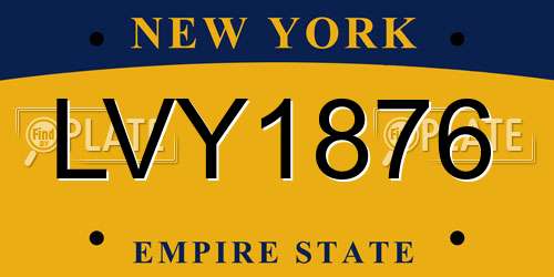 LVY1876 New York License Plate
