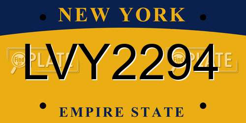 LVY2294 New York License Plate