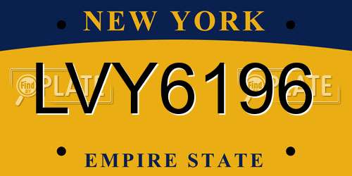 LVY6196 New York License Plate