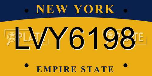 LVY6198 New York License Plate