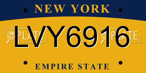 LVY6916 New York License Plate