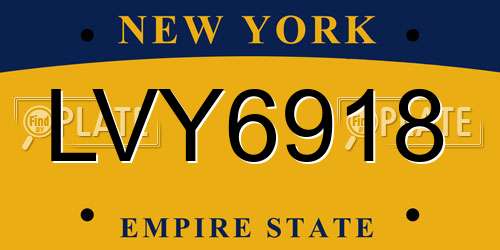 LVY6918 New York License Plate