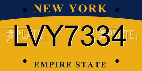 LVY7334 New York License Plate