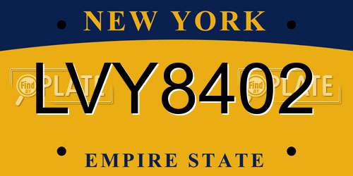 LVY8402 New York License Plate