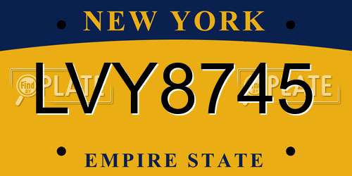 LVY8745 New York License Plate