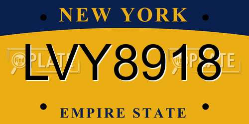 LVY8918 New York License Plate