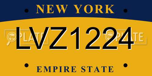 LVZ1224 New York License Plate