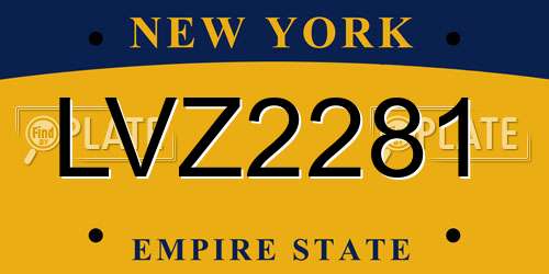 LVZ2281 New York License Plate