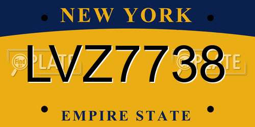LVZ7738 New York License Plate