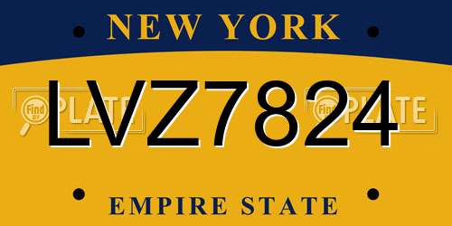 LVZ7824 New York License Plate
