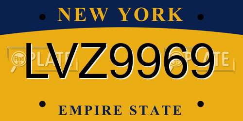 LVZ9969 New York License Plate