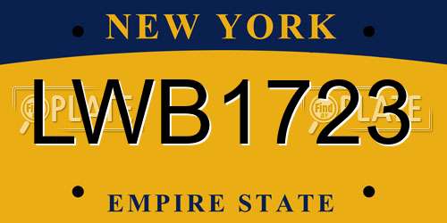 LWB1723 New York License Plate