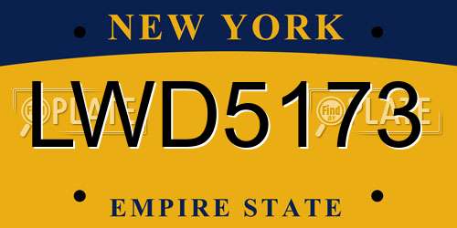 LWD5173 New York License Plate