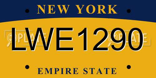LWE1290 New York License Plate