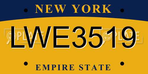 LWE3519 New York License Plate