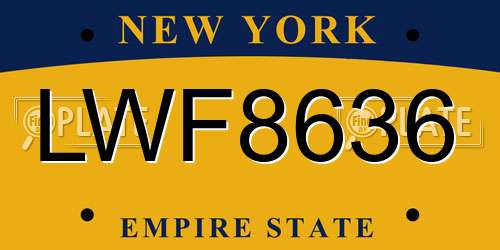 LWF8636 New York License Plate