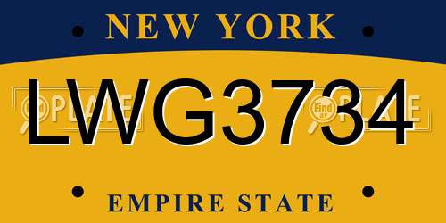 LWG3734 New York License Plate