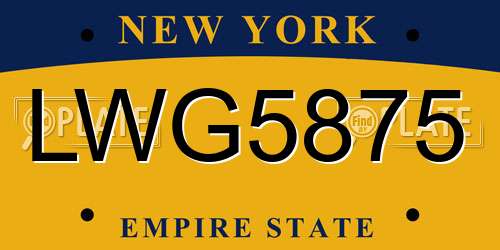 LWG5875 New York License Plate
