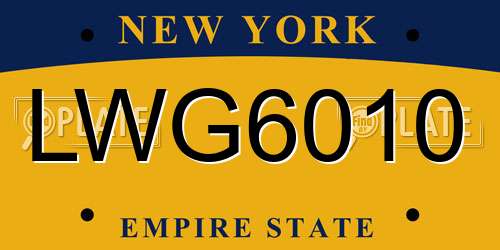 LWG6010 New York License Plate
