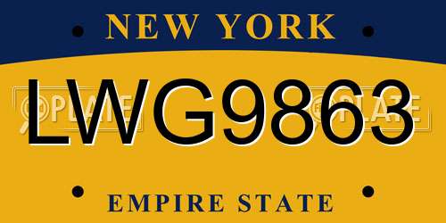 LWG9863 New York License Plate