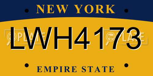 LWH4173 New York License Plate
