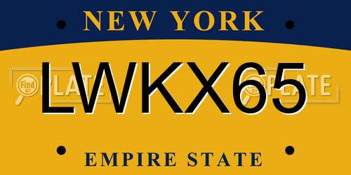LWKX65 New York License Plate