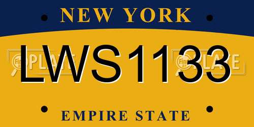 LWS1133 New York License Plate