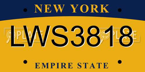 LWS3818 New York License Plate