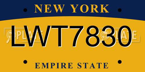 LWT7830 New York License Plate