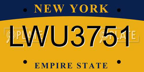 LWU3751 New York License Plate