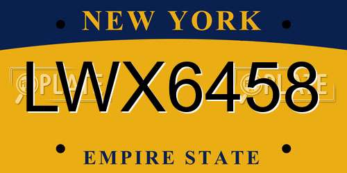 LWX6458 New York License Plate