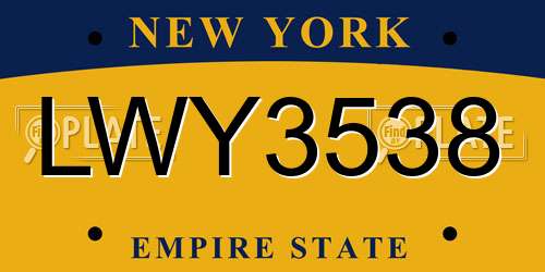 LWY3538 New York License Plate
