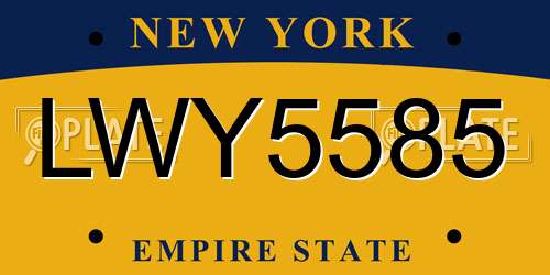 LWY5585 New York License Plate
