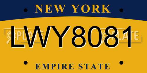 LWY8081 New York License Plate