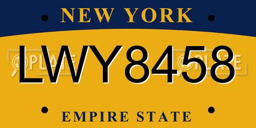 LWY8458 New York License Plate