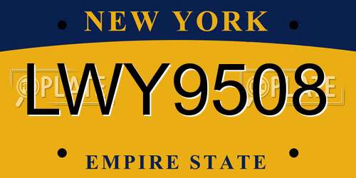 LWY9508 New York License Plate