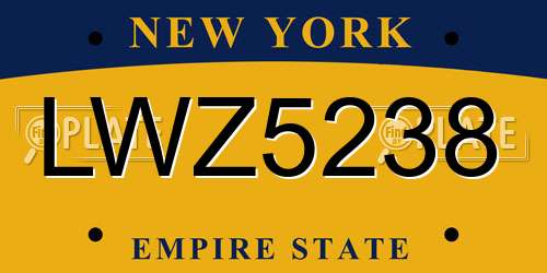 LWZ5238 New York License Plate